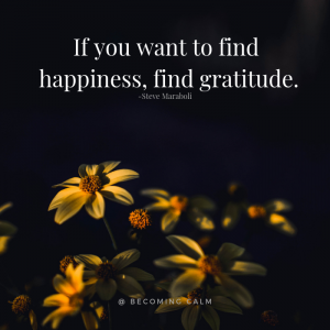 If you want to find happiness find gratitude.