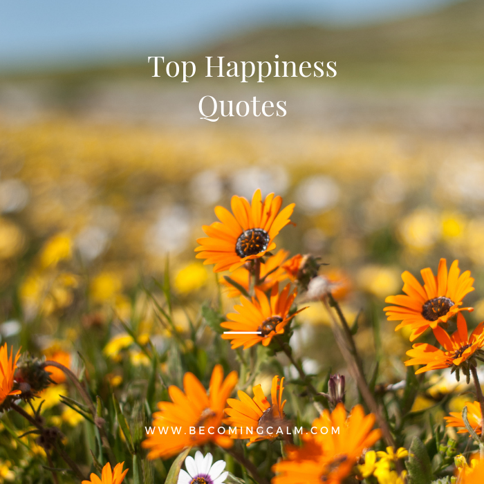 Top Happiness Quotes